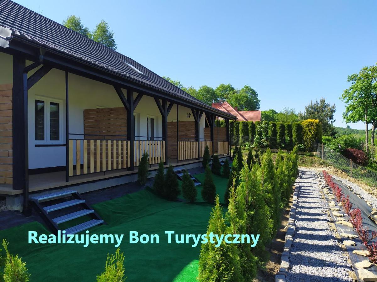 Villa Asturia Rymanów-Zdrój Exteriör bild